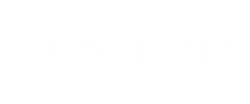 cccc
