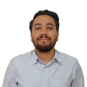 Contador público